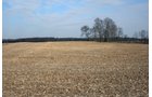 Tract 1 - REAL ESTATE AUCTION - 84.5+/- ACRES IN 4 TRACTS IN WHITLEY COUNTY, INDIANA